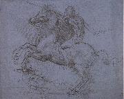 Study fur the Sforza monument, LEONARDO da Vinci